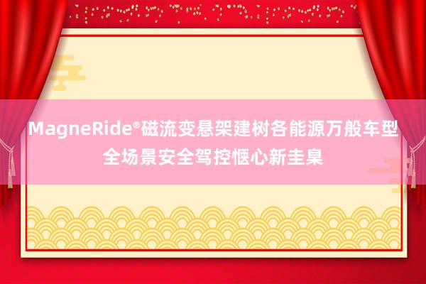 MagneRide®磁流变悬架建树各能源万般车型全场景安全驾控惬心新圭臬