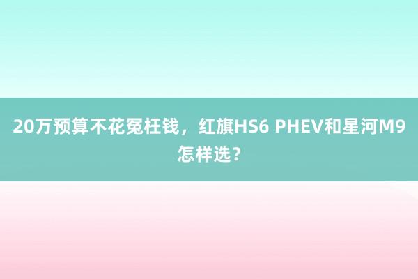 20万预算不花冤枉钱,红旗HS6 PHEV和星河M9怎样选?